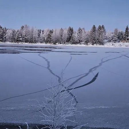 Marjapelto * Rovaniemi