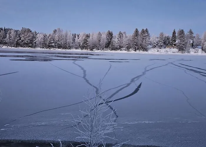 Marjapelto * Rovaniemi